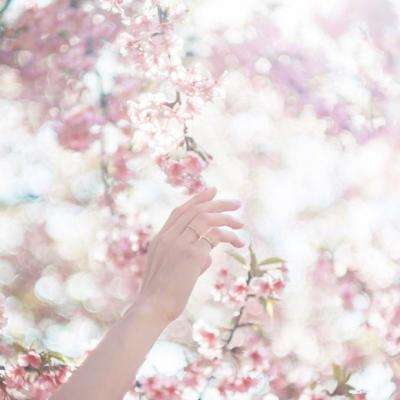 我在江湖之剑来肆狼平台